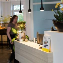 Galeriebild
